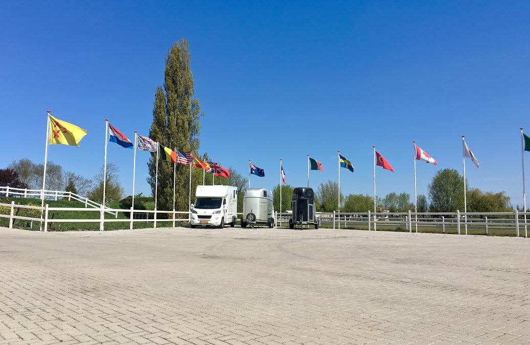 parking Dressage Horses International