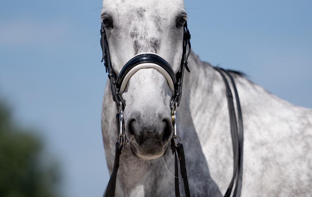 Balthazar