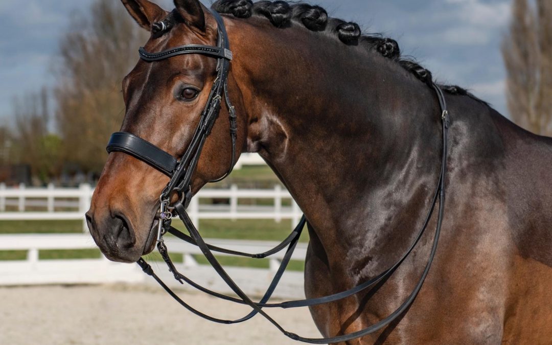 Frankel