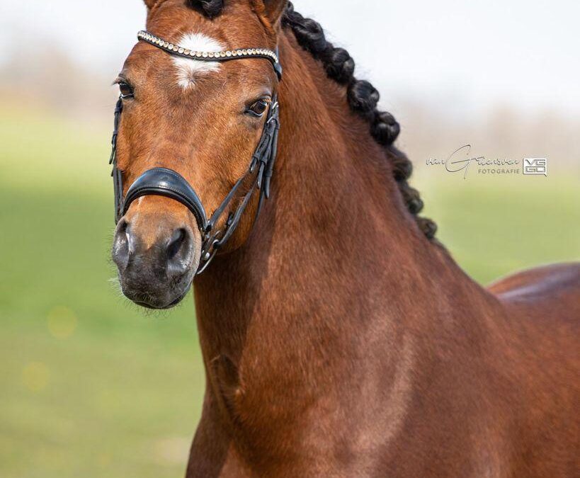 Aramis