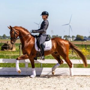 Secret Star under saddle